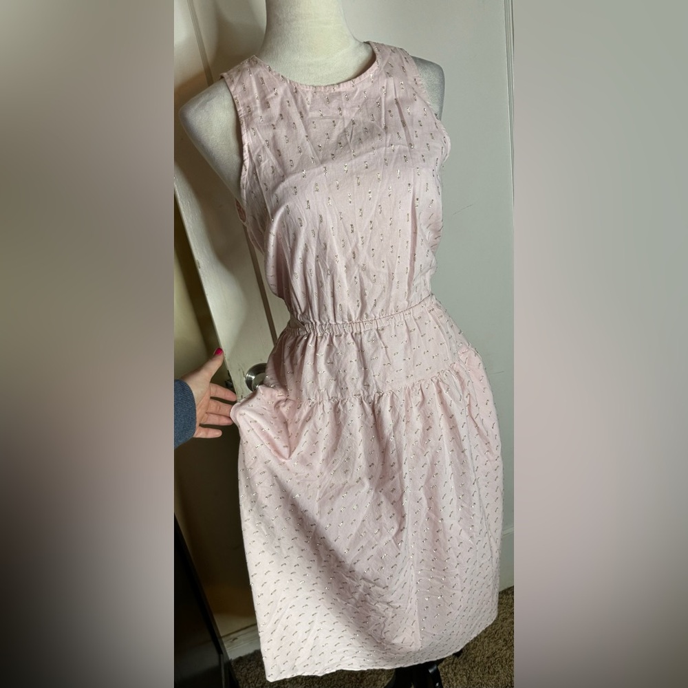 NWT Splendid Renata Pink Gold Cut Out Midi Dress Sleeveless Open Back Empire